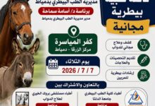 بيطري دمياط تعلن اقامة قافلة طبية بيطرية مجانية بقري المحافظة